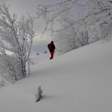 Ξενοδοχείο Strand Fjellstue 3*