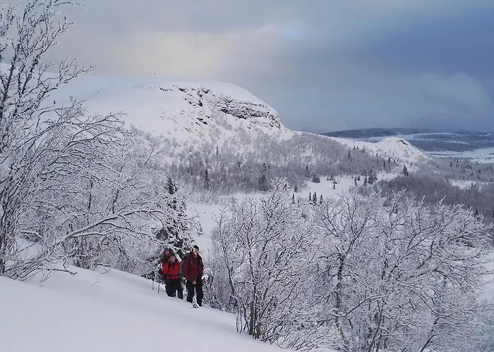 Strand Fjellstue 3* Espedalen